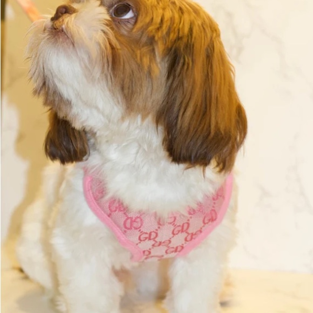 Luxury designer style harness and leash set